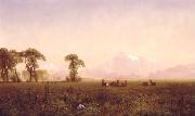 Albert Bierstadt Elk Grazing in the Wind River Country oil painting reproduction